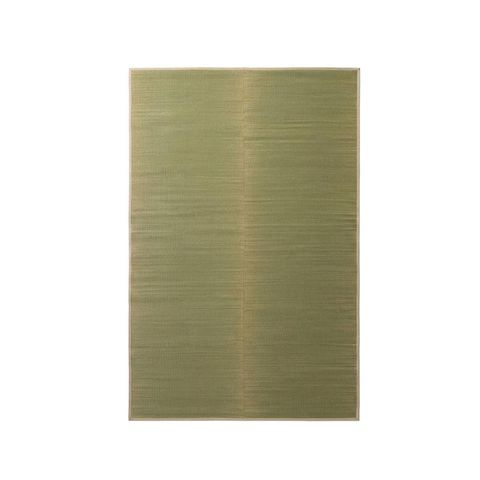 ikehiko_igusa_rug_mirai_PNG_ (2)