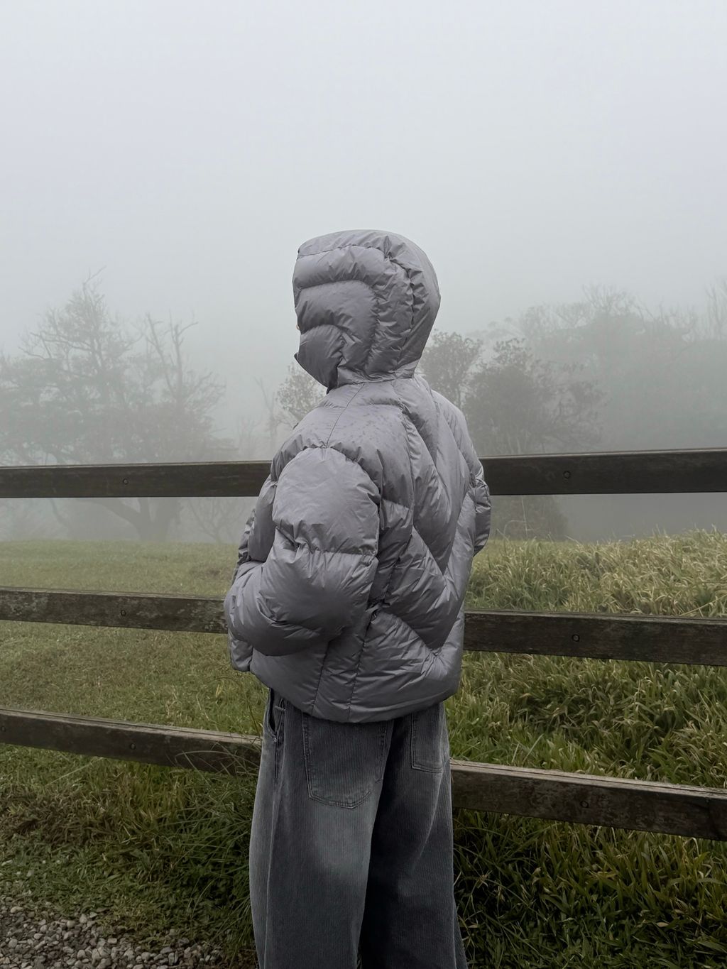 image_0CC74FAD-A8A0-4096-B901-F1D13F72520A_1764835442