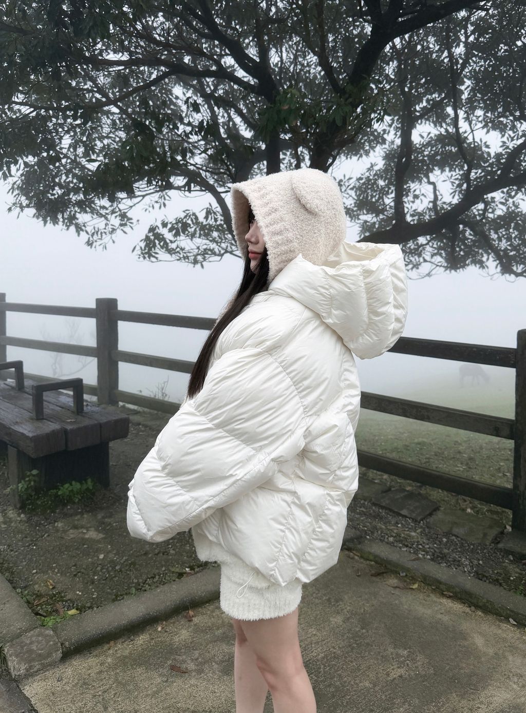 image_C9E65D39-6B5D-4C38-90BB-BFBA89304705_1764838258