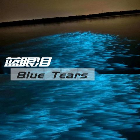 酒店住宿攻略指南实景小红书配图 (2) (1)