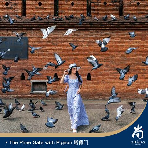 Shang-Travel-LoyKrathong-2