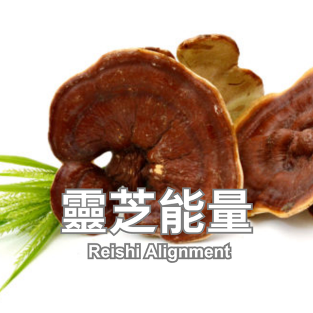 靈芝能量_480x480 (2)