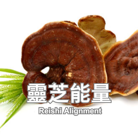 靈芝能量_480x480 (2)