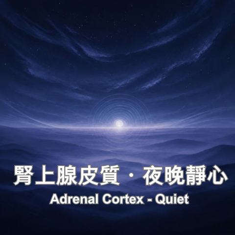 腎上腺皮質・夜晚靜心
