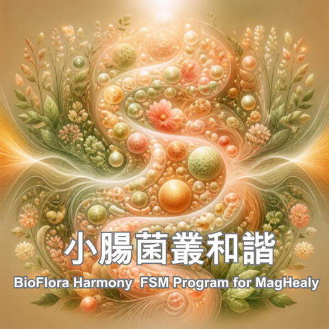 Si小腸菌叢和諧
