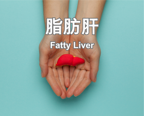 Fatty Liver