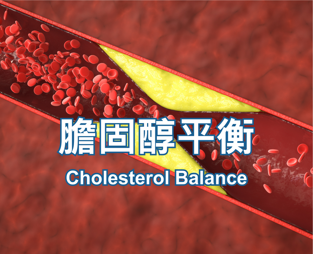 Cholesterol Balance