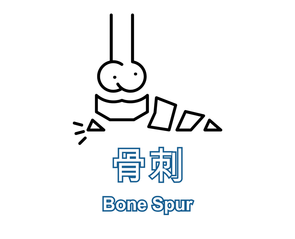 Bone Spur 骨刺
