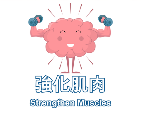 Strengthen Muscles