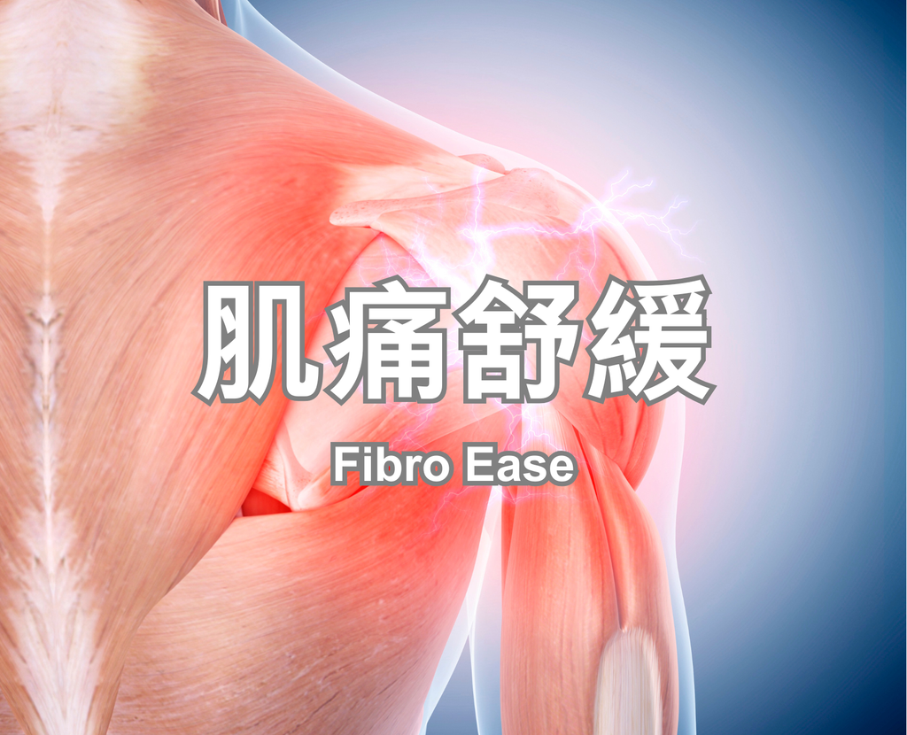 Fibro Ease