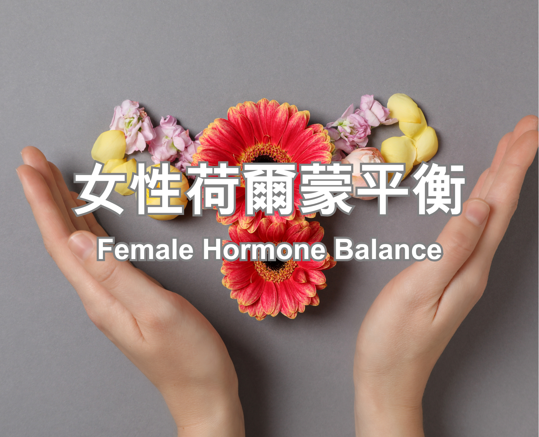 Female Hormone Balance (FB)