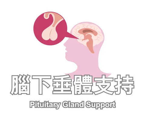 Pituitary Gland Support