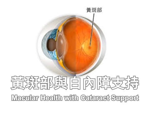 Macular Health with Cataract Support