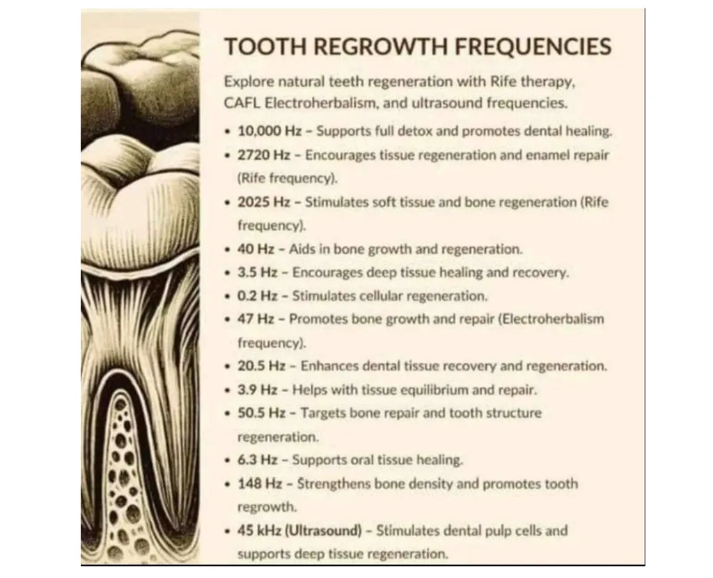 Tooth Regrowth Frequencies
