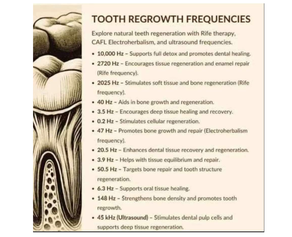 Tooth Regrowth Frequencies