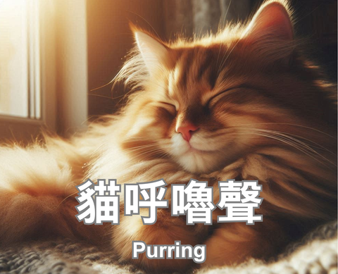 Purring