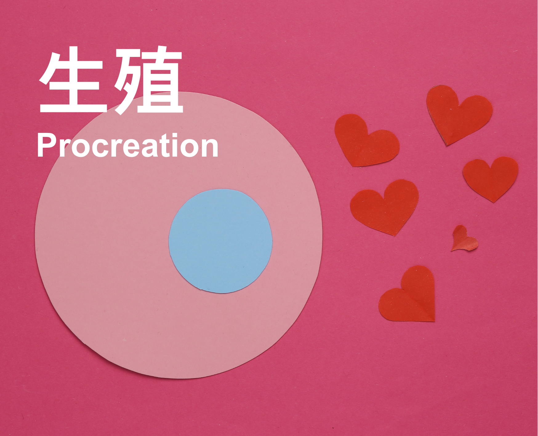 Procreation