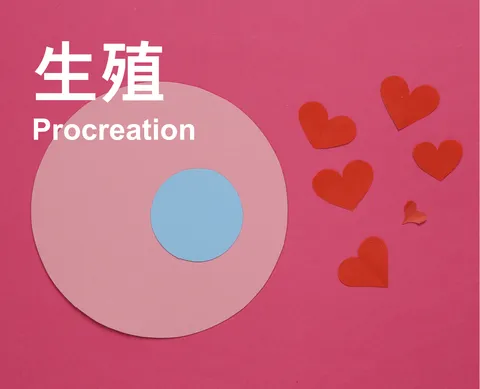 Procreation