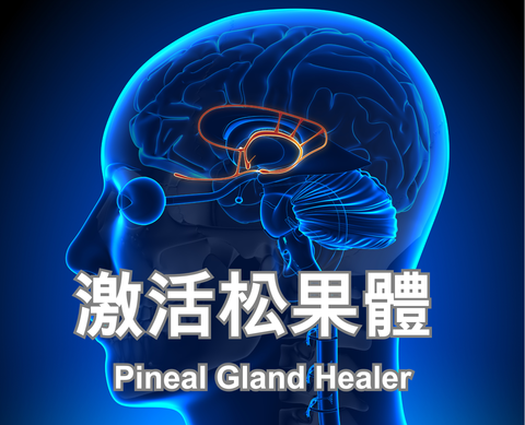 Pineal Gland