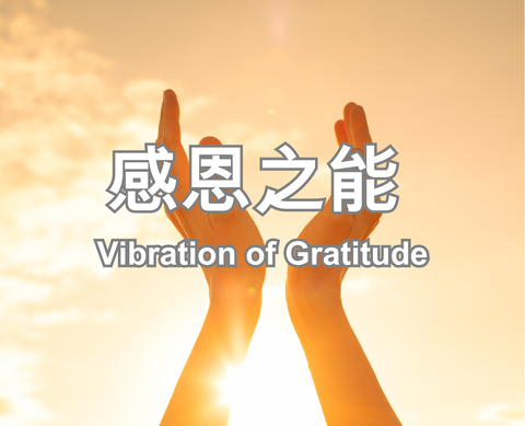Vibration of Gratitude
