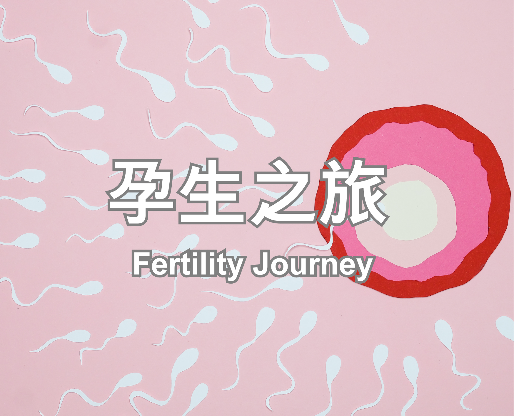 Fertility Journey