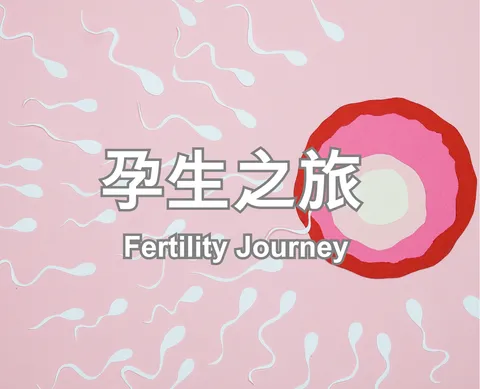 Fertility Journey
