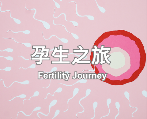 Fertility Journey