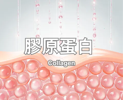 Collagen