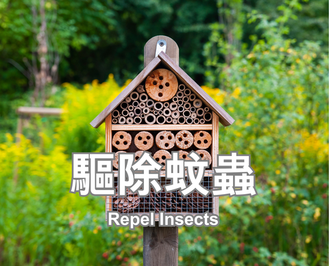 Repel Insects