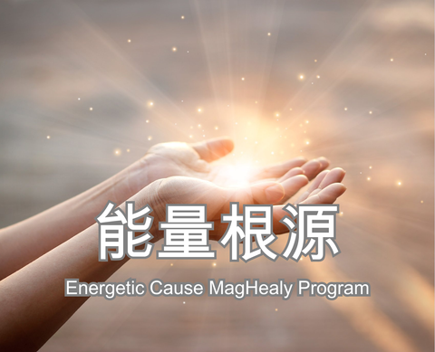Energetic Cause MagHealy Program 
