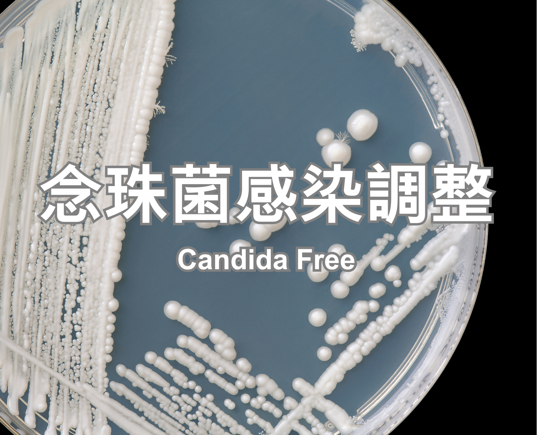 Candida Free