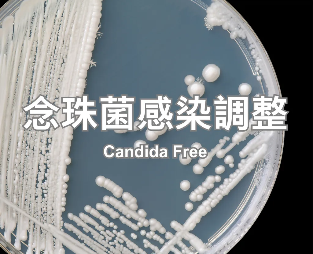 Candida Free