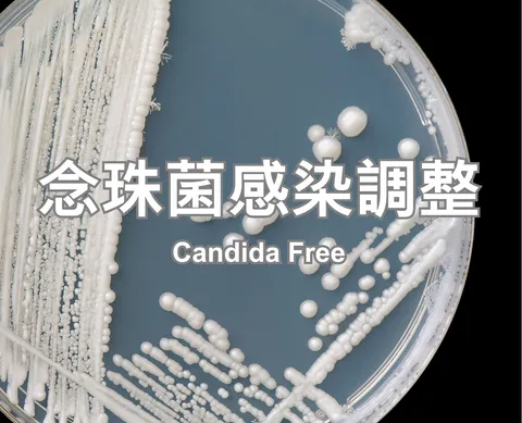 Candida Free