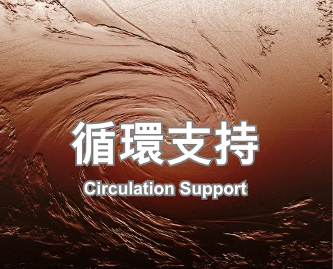Circulation Support