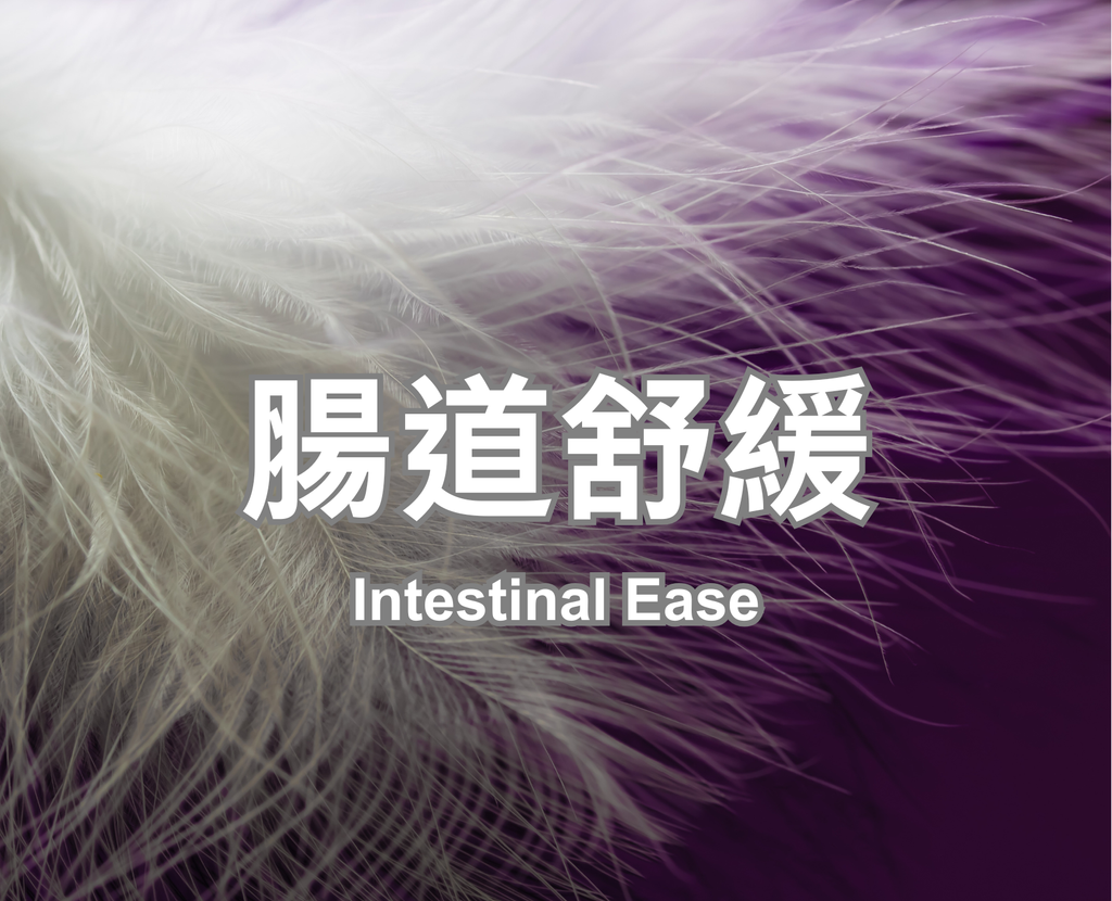 Intestinal Ease