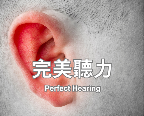 Perfect Hearing