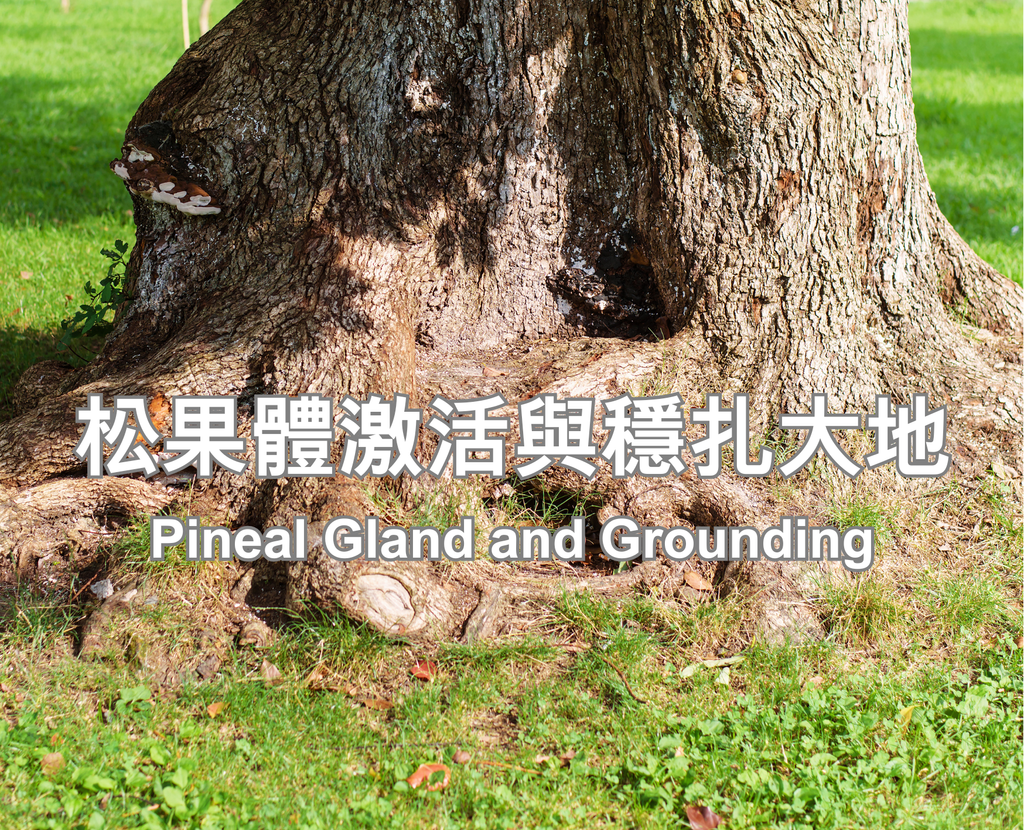 Pineal Gland and Grounding