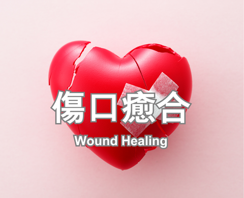 Wound Healing