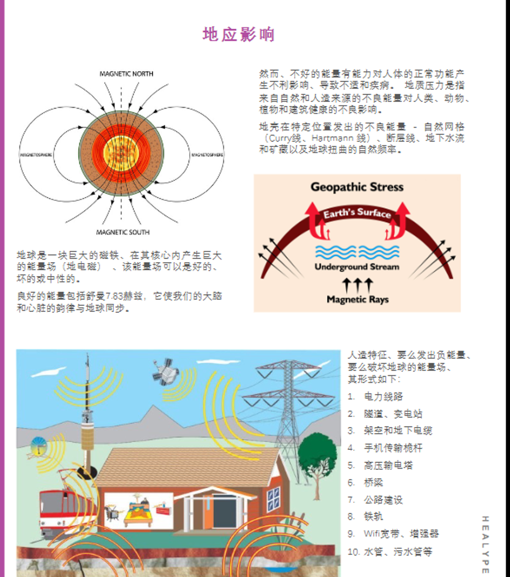 螢幕擷取畫面 2025-01-09 113741