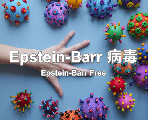 Epstein-Barr 病毒