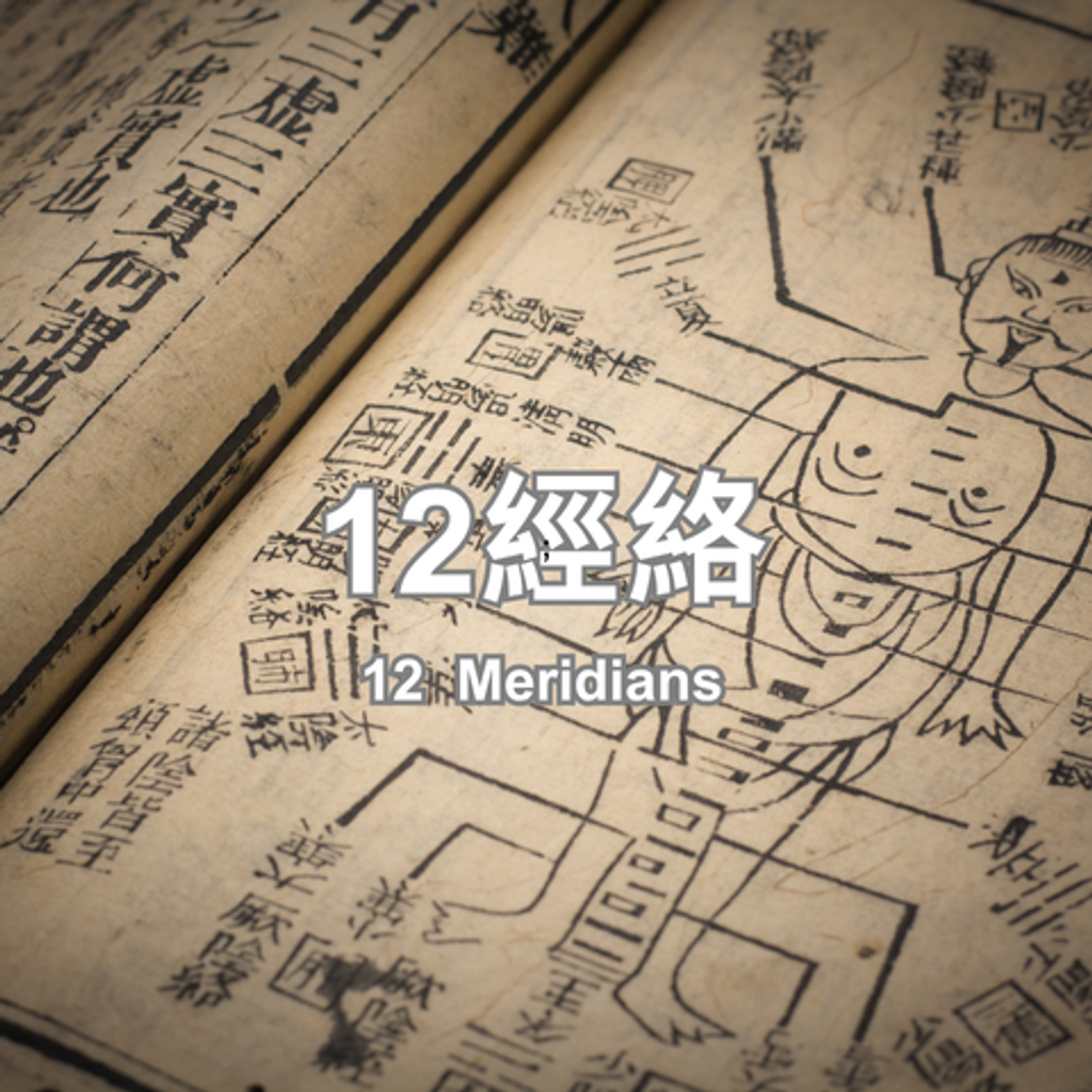 12-Meridians 480x480