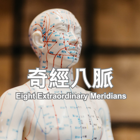Eight Extraordinary Meridians