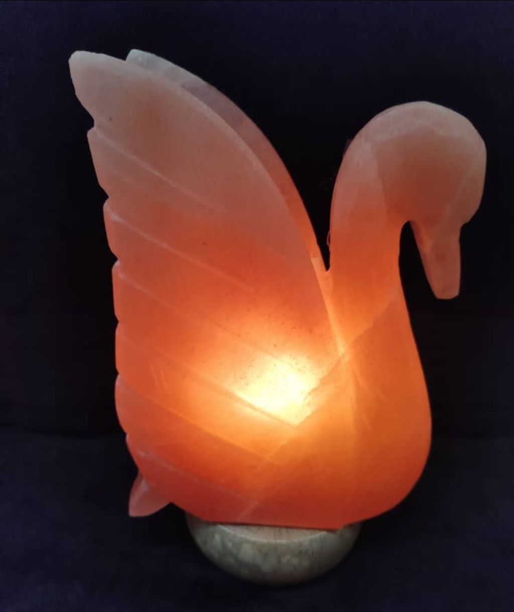 Screenshot_2025-06-02-14-16-26-083_com.whatsapp-edit