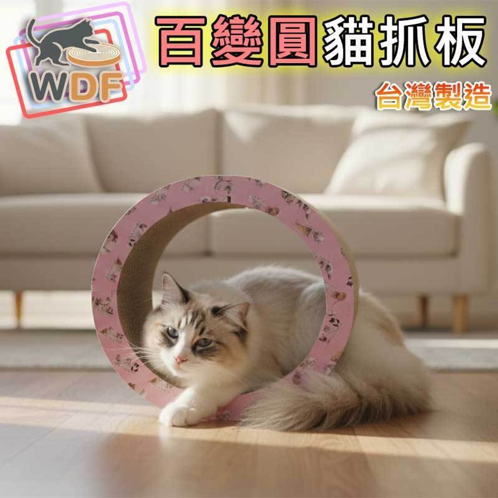 tw-11134207-81zth-micrelw5j2f5dd