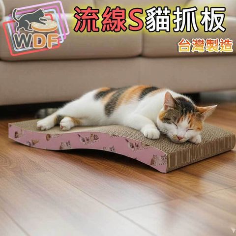 tw-11134207-81ztk-micqyfkfmyo868