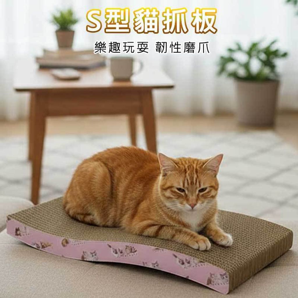 tw-11134207-81ztg-mht21h26klj616