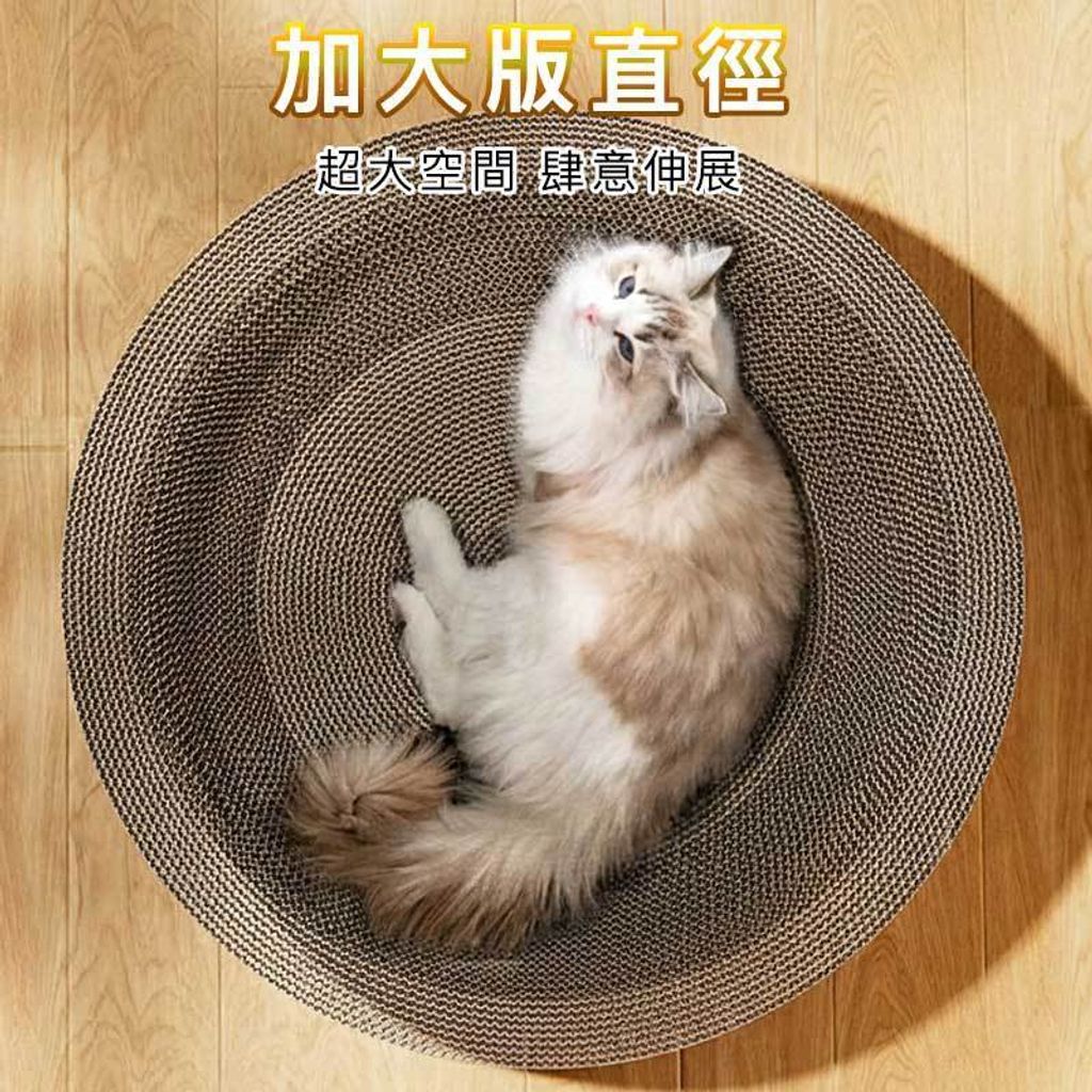 tw-11134207-81ztm-mht2ffsw8s1sae