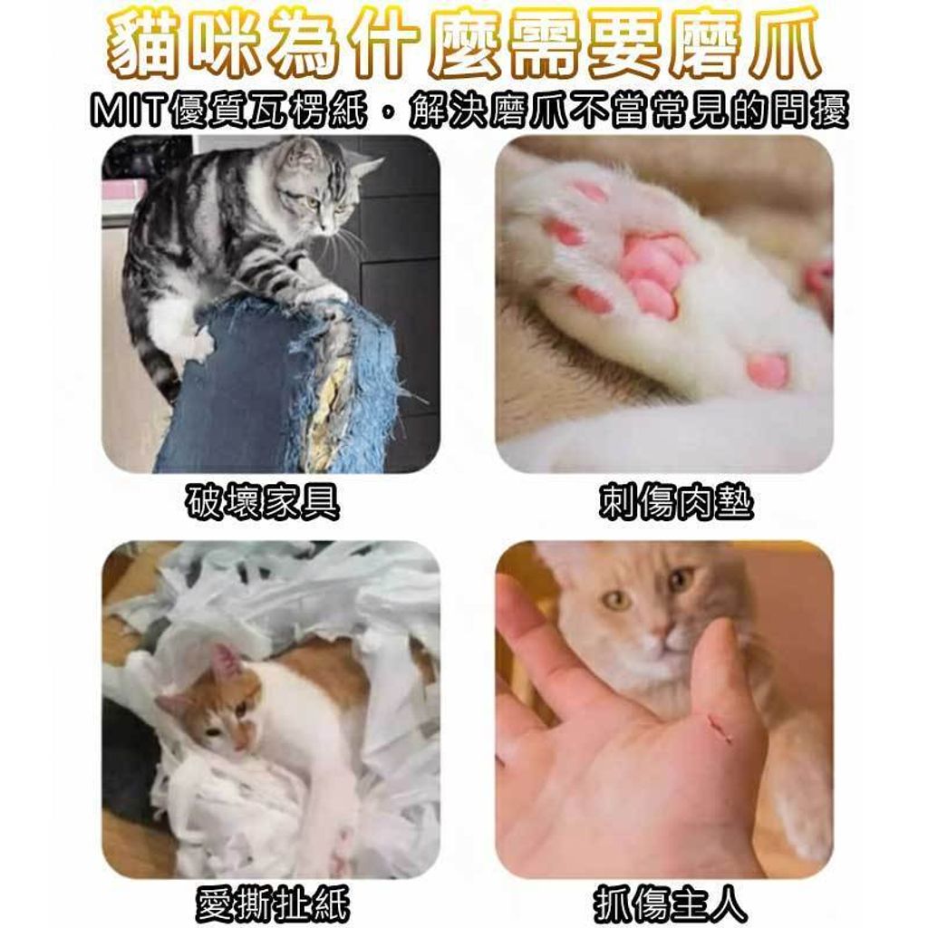 tw-11134207-81ztp-mht1ak0ncdtuc4