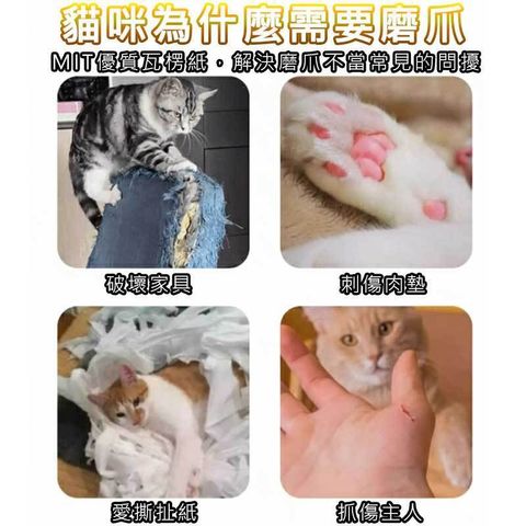 tw-11134207-81ztp-mht1ak0ncdtuc4