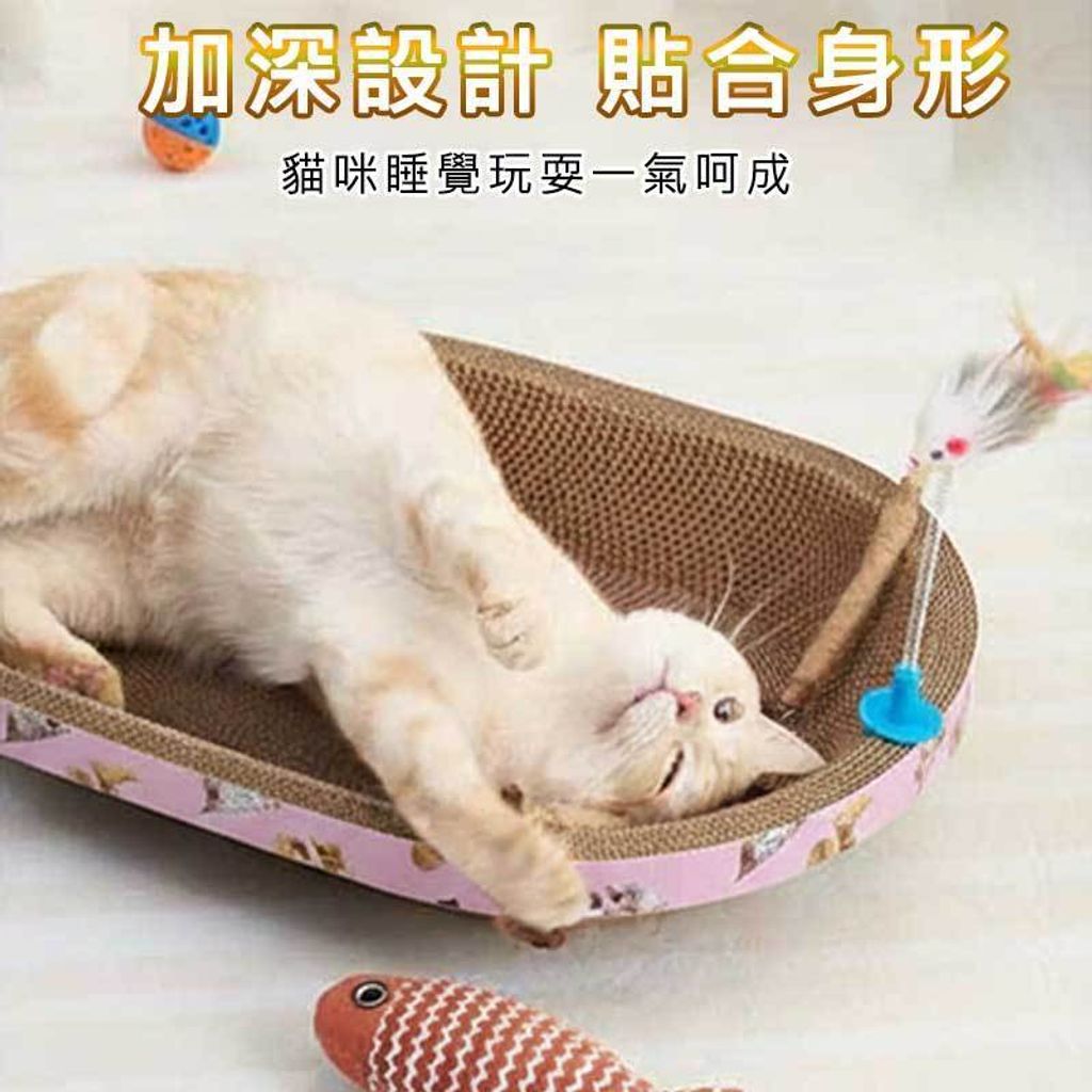 tw-11134207-81ztk-microkxjj6rk50